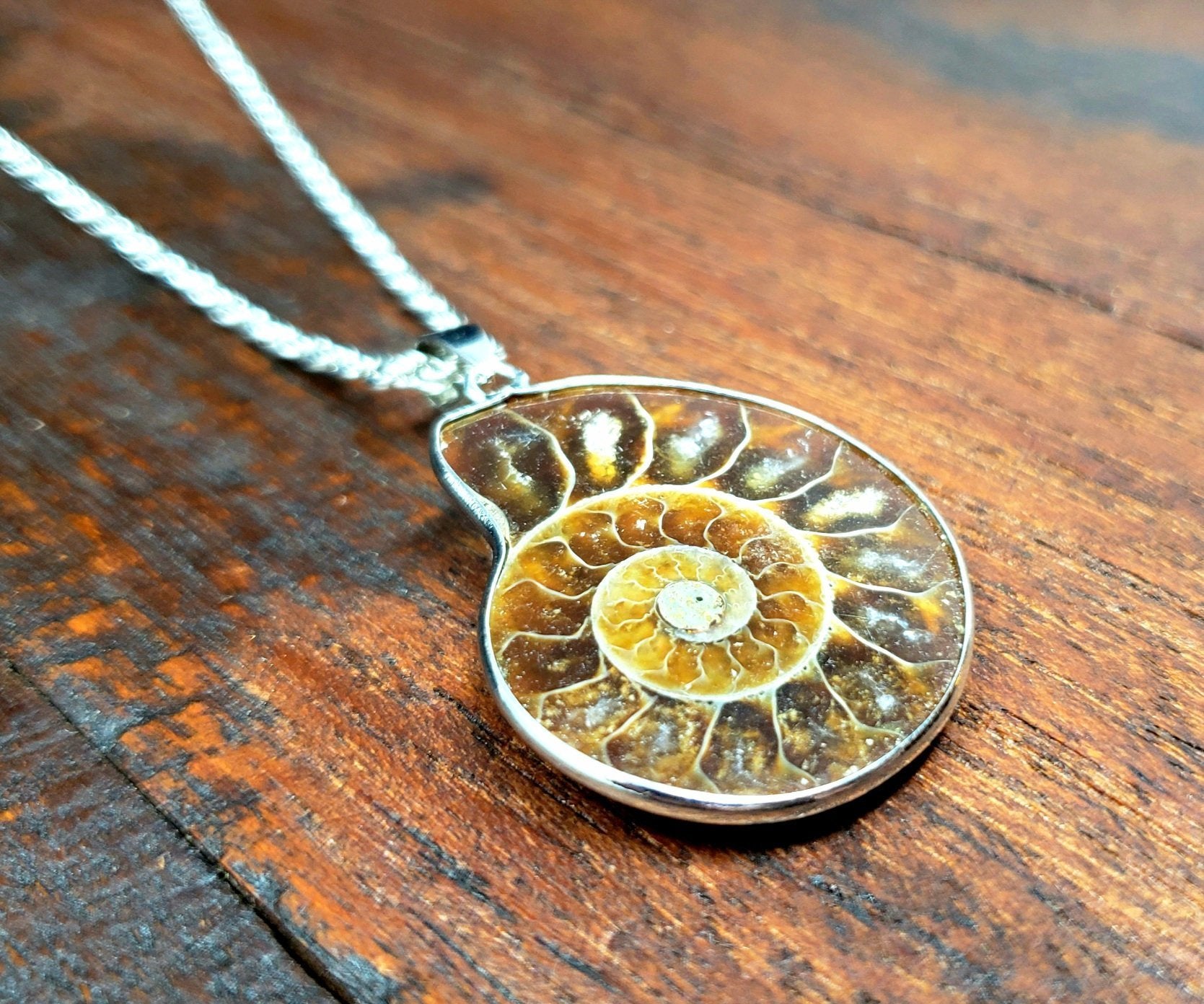 Ammonite Fossil Necklace - Main Image