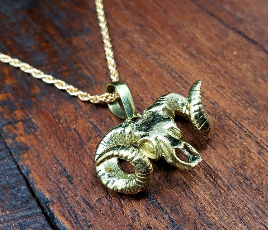 Ram Skull Pendant Necklace - Main Image