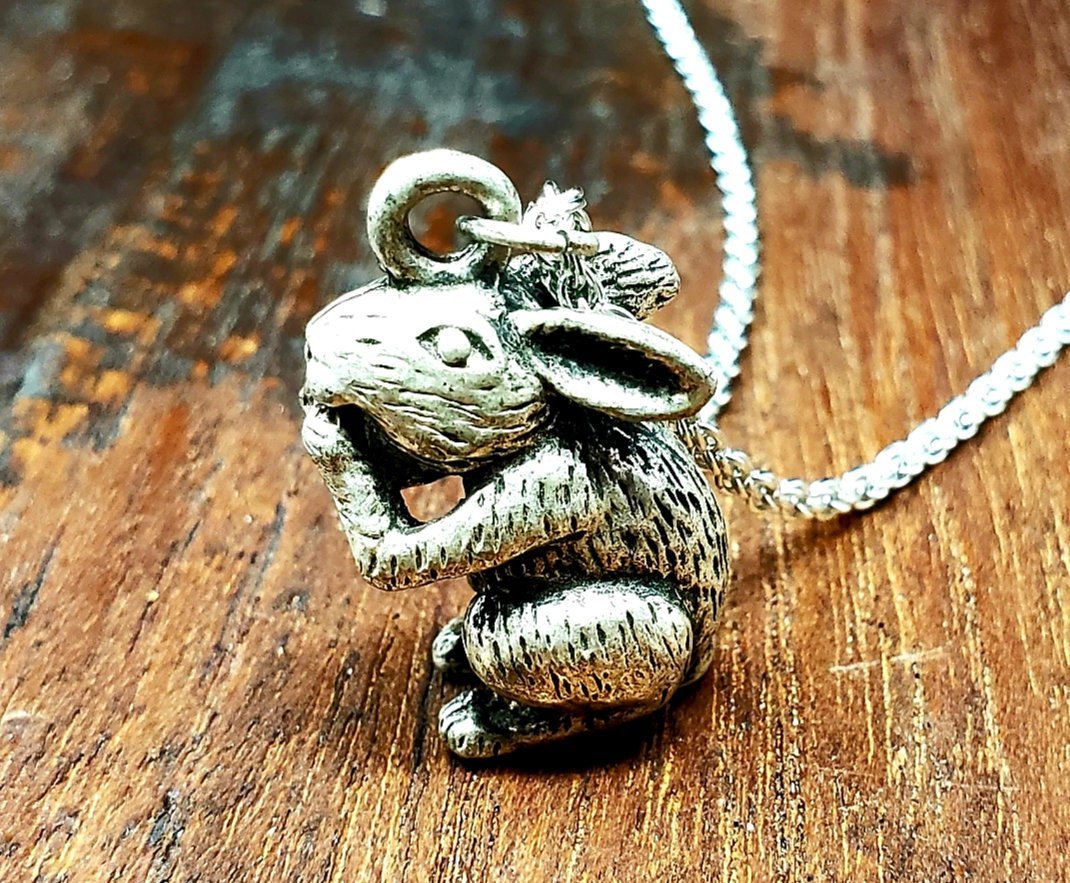 Silver Lucky Rabbit Necklace - Main Image